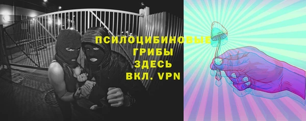дмт Кулебаки