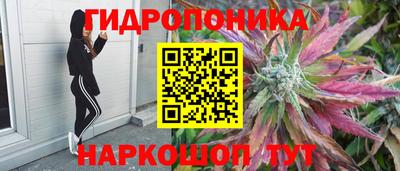 spice Гагарин