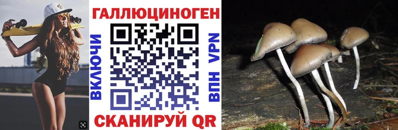 где купить наркотик  Сосновоборск  Псилоцибиновые грибы ЛСД 